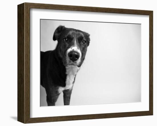 Reilly-Kim Levin-Framed Photographic Print