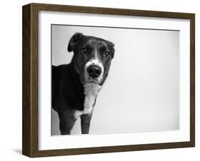 Reilly-Kim Levin-Framed Photographic Print