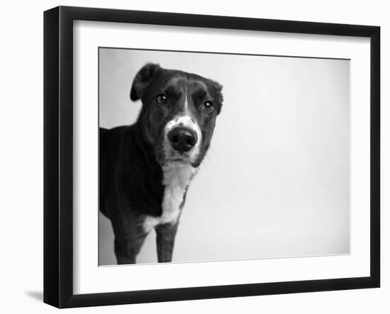 Reilly-Kim Levin-Framed Photographic Print