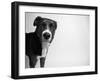 Reilly-Kim Levin-Framed Photographic Print