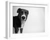 Reilly-Kim Levin-Framed Photographic Print