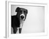 Reilly-Kim Levin-Framed Photographic Print