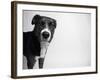 Reilly-Kim Levin-Framed Photographic Print