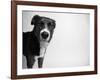 Reilly-Kim Levin-Framed Photographic Print