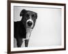 Reilly-Kim Levin-Framed Photographic Print