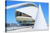 Reina Sofia Arts Palace, City of Arts and Sciences, Valencia, Spain-Marco Simoni-Stretched Canvas