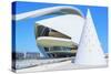 Reina Sofia Arts Palace, City of Arts and Sciences, Valencia, Spain-Marco Simoni-Stretched Canvas