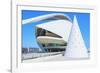 Reina Sofia Arts Palace, City of Arts and Sciences, Valencia, Spain-Marco Simoni-Framed Photographic Print