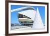 Reina Sofia Arts Palace, City of Arts and Sciences, Valencia, Spain-Marco Simoni-Framed Photographic Print