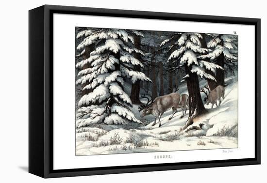 Reindeer, 1860-null-Framed Stretched Canvas