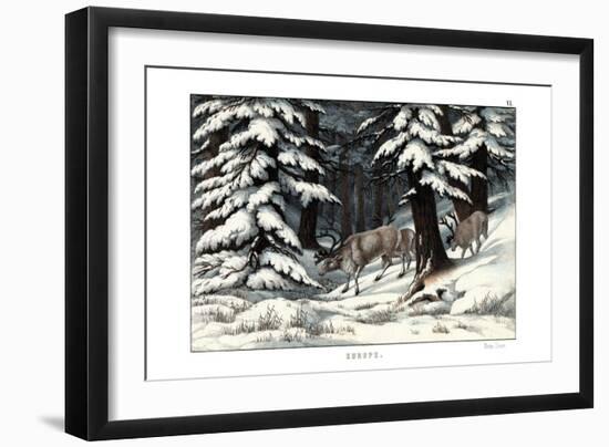 Reindeer, 1860-null-Framed Giclee Print