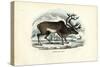 Reindeer, 1863-79-Raimundo Petraroja-Stretched Canvas