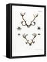 Reindeer Antlers-null-Framed Stretched Canvas