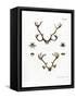 Reindeer Antlers-null-Framed Stretched Canvas