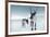 Reindeer Female-Ann & Steve Toon-Framed Photographic Print