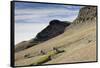 Reindeer Grazing on Tundra on Edgeoya Island-Paul Souders-Framed Stretched Canvas