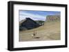 Reindeer Grazing on Tundra on Edgeoya Island-Paul Souders-Framed Photographic Print