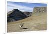 Reindeer Grazing on Tundra on Edgeoya Island-Paul Souders-Framed Photographic Print