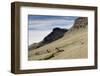 Reindeer Grazing on Tundra on Edgeoya Island-Paul Souders-Framed Photographic Print