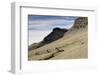 Reindeer Grazing on Tundra on Edgeoya Island-Paul Souders-Framed Photographic Print