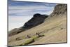 Reindeer Grazing on Tundra on Edgeoya Island-Paul Souders-Mounted Photographic Print