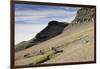 Reindeer Grazing on Tundra on Edgeoya Island-Paul Souders-Framed Photographic Print