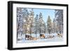 Reindeer in a Winter Forest in Finnish Lapland-BlueOrange Studio-Framed Photographic Print