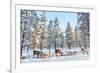 Reindeer in a Winter Forest in Finnish Lapland-BlueOrange Studio-Framed Photographic Print