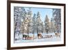 Reindeer in a Winter Forest in Finnish Lapland-BlueOrange Studio-Framed Photographic Print