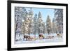 Reindeer in a Winter Forest in Finnish Lapland-BlueOrange Studio-Framed Photographic Print