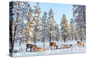 Reindeer in a Winter Forest in Finnish Lapland-BlueOrange Studio-Stretched Canvas