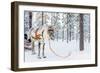 Reindeer in a Winter Forest in Finnish Lapland-BlueOrange Studio-Framed Photographic Print