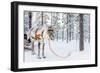 Reindeer in a Winter Forest in Finnish Lapland-BlueOrange Studio-Framed Photographic Print