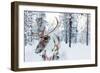 Reindeer in a Winter Forest in Finnish Lapland-BlueOrange Studio-Framed Photographic Print