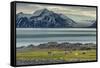 Reindeer in Svalbard,Norway-Art Wolfe-Framed Stretched Canvas