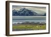 Reindeer in Svalbard,Norway-Art Wolfe-Framed Photographic Print