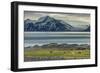 Reindeer in Svalbard,Norway-Art Wolfe-Framed Photographic Print