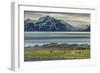 Reindeer in Svalbard,Norway-Art Wolfe-Framed Photographic Print