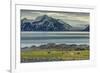 Reindeer in Svalbard,Norway-Art Wolfe-Framed Photographic Print