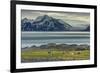 Reindeer in Svalbard,Norway-Art Wolfe-Framed Photographic Print