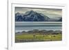 Reindeer in Svalbard,Norway-Art Wolfe-Framed Photographic Print