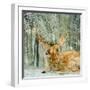 Reindeer in the Forest-Angeles M Pomata-Framed Giclee Print