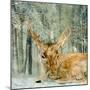 Reindeer in the Forest-Angeles M Pomata-Mounted Giclee Print