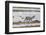 Reindeer Living in the Wild on Iceland on the Beach with Reflection in the Shallow Water-Niki Haselwanter-Framed Photographic Print