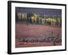 Reindeer Migration Across Tundra, Kobuk Valley National Park, Alaska, USA, North America-Staffan Widstrand-Framed Photographic Print