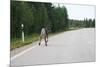 Reindeer on the Road. Northern Finland-perszing1982-Mounted Photographic Print