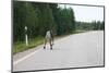 Reindeer on the Road. Northern Finland-perszing1982-Mounted Photographic Print