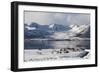 Reindeer (Rangifer Tarandus), Near Fornes, Vesteralen Islands, Arctic, Norway, Scandinavia-Sergio Pitamitz-Framed Photographic Print