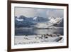Reindeer (Rangifer Tarandus), Near Fornes, Vesteralen Islands, Arctic, Norway, Scandinavia-Sergio Pitamitz-Framed Photographic Print