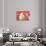 Reindeer, Santa with French Horn-null-Stretched Canvas displayed on a wall